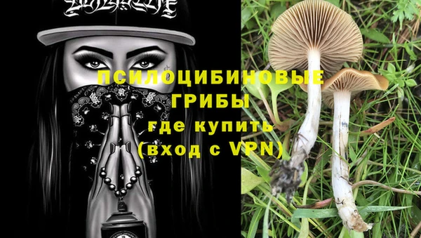 тгк Алексеевка