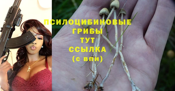 твердый Алзамай