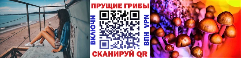 МЕГА tor  Красноуральск  Галлюциногенные грибы Cubensis  где можно купить  